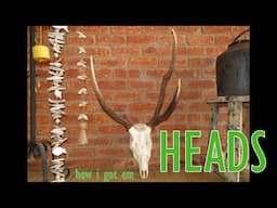 Heads and How I Got Them 3