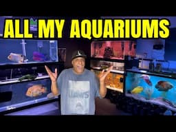 ALL MY AQUARIUMS & PONDS!