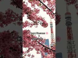 POV: Cherry Blossoms bloomed early in Tokyo, Japan 🇯🇵🗼🌸 Framing the beauty of Tokyo Tower! 😍