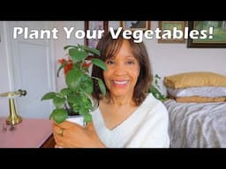Planting a Small Vegetable Garden | Save $$ on Better Quality Food