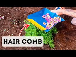 DIY Garden Secrets: Tricks You Didn’t Know You Needed!