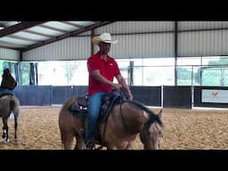 Ride Like a Pro: Slow Down Without Pulling the Reins 💪🏾〽️