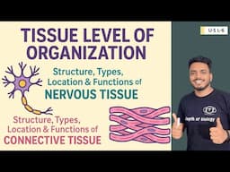 Tissue level organization | Structure location & function of Nervous tissue & Connective tissue #HAP
