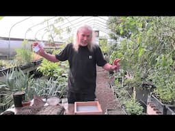 Seed Planting Techniques