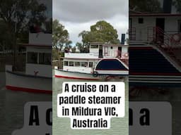 A cruise on a paddle steamer on the Murray River in Mildura