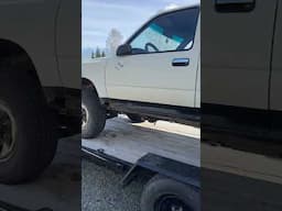 I had to buy another white toyota pickup….