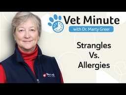 Puppy Strangles vs Allergies: How to Tell the Difference in Your Puppy