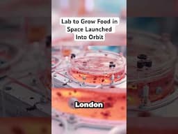 Lab to Grow Food in Space Launched Into Orbit #verity #news #spacex #foodtok #science #fyp #explore