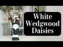 White Daisies in a Black and White Wedgwood-inspired Vase