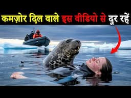 दिल को छू जाने वाली कहानी… मदद के लिए कोई नहीं आया! Worst Leopard Seal Attack in History