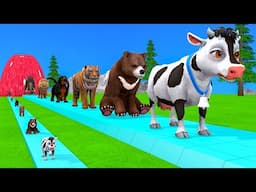 Paint Animals Duck,Tiger,Cow,Lion,Buffalo,Gorilla,Elephant, Fountain Crossing Transformation Cartoon