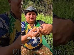 Catching Piranhas in the Wild Amazon 🇧🇷