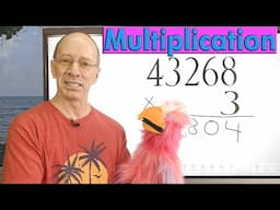 Multiplication with a BIG number! Birdy helps out.
