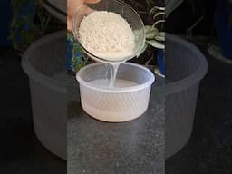 Rice Water liquid fertilizer #liquidfertilizer #lipshaworld #gardening #plants #organicfertilizer