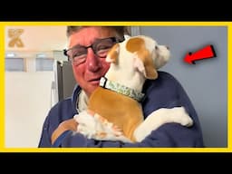 🐕🧑FULL Dads Who Didn’t Want The Damn Dog In Their Lives🤣Funny Dog and Human
