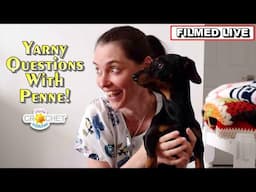 Yarny Questions Answered (with Penne!) - Jayda InStitches Live - May 26, 2025