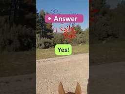 Fix Sloppy Jumping