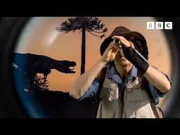 The Largest Flying Animal EVER! | Andy's Dinosaur Adventures | Andy's Amazing Adventures