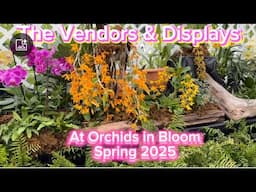 Gorgeous Orchid Displays and vendors at Orchids in Bloom! Spring 2025 Show!