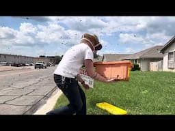 Quickest swarm catch ever
