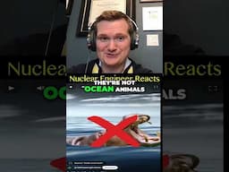 Do Black Gloves Make You Stealthy? - Nuclear Engineer Reacts to 2 Truths & Trash
