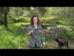 Installing a Solar Water Pump for our Off-Grid Homestead Garden