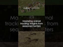 Three avid hunters uncover the art of animal tracking. #pulsarvision