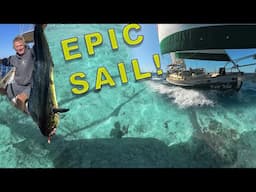 Epic Sail in the clearest water with the largest fish yet!  |  Ep141
