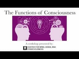 Matthias Michel: Three Fallacies on the Functions of Consciousness | NYU 2025