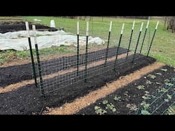 New trellis