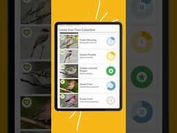 You don't have to be plagued by the difficulty of species identification anymore. Get wise BirdWise!