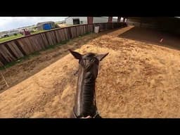 Training bend to stop with target, clicker training