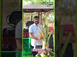 ஒரே நிமிடத்தில் உரமாக மாறும் தென்னை மட்டை | Kovai Classic Industries