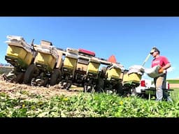 Planting My Very First Soybean Crop! Planting Season 2025