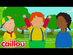 Caillou the Soccer Player | Caillou - WildBrain | Learning for Kids