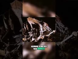 Is There a REAL Human Skull in the Pirates of the Caribbean Ride?