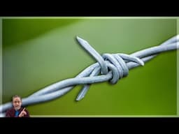 Buddha's Response to Harm: Challenging Wisdom