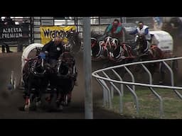 World Professional Chuckwagon Races at Medicine Hat Exhibition and Stampede
