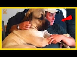 ⚠️🐕Warning! You Will Want A Dog After Watching This Video - Cute Animal Show Love💖