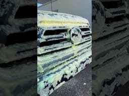 Pollen Will Be The Death Of Me 😷 #tacoma