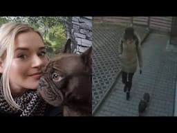 DRAMATISCHE Wendung im Fall Sandra K - Hund sucht vermisste Besitzerin!
