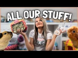Where I Buy ALL My Guinea Pig Supplies! 🐹