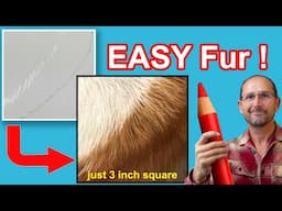 Afraid of Drawing Fur? Start with Just This 3-Inch Section