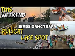 One Day Trip From 😍 PULICAT BIRD SANCTUARY 😉 Pulicat Lake 😍 Birds Watching Spot in Just 75km