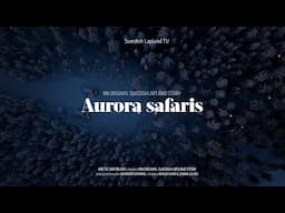 AURORA SAFARIS in Swedish Lapland