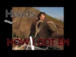 Heads an  how I got em.   "Handlebars"