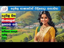 අපි දෙමළ කතා කරමු - මූලික පාඩම්  | Let's Speak Tamil! - Basic to Advanced Lessons" | Punchi Danuma