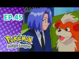 Pokémon: Indigo League எபிசோட் 45: Holy Matrimony! | Pokémon Asia Official (Tamil)