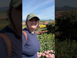 Tulip festival  (uploaded without the music because YouTube copyright strikes everything) 😡