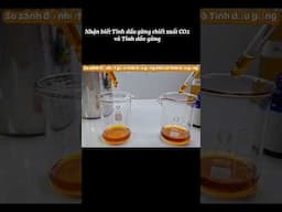 Phần 1: Nhận biết Tinh dầu Gừng chiết xuất CO2 lỏng siêu tới hạn với tinh dầu gừng #tinhdaugungco2